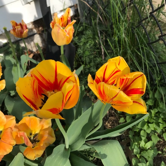 audrey_b123